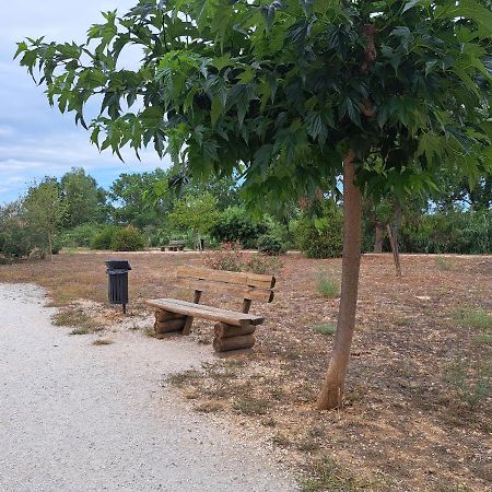 Studio Proche De Perpignan Peyrestortes Екстер'єр фото