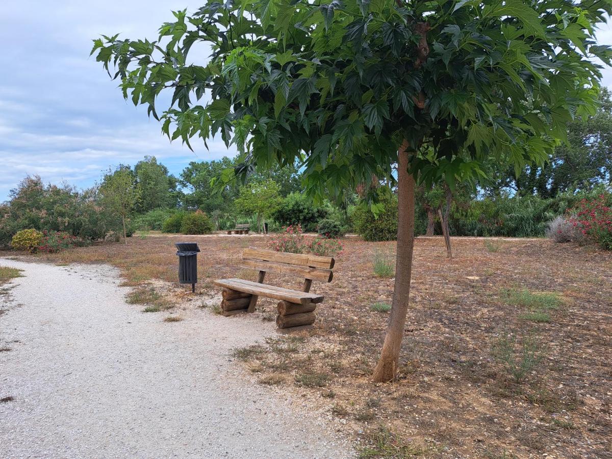 Studio Proche De Perpignan Peyrestortes Екстер'єр фото